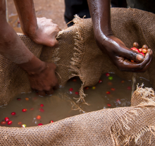 Load image into Gallery viewer, Burundi Businde
