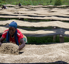 Load image into Gallery viewer, Burundi Businde
