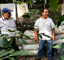 Load image into Gallery viewer, Mexico Union San Pedro
